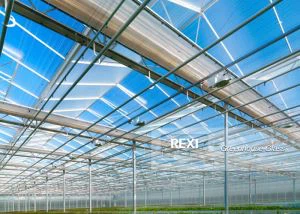 Szklarnia szklarniowa